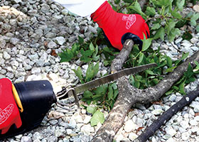 枝切り用２１０ Ｐ３.０ 替刃