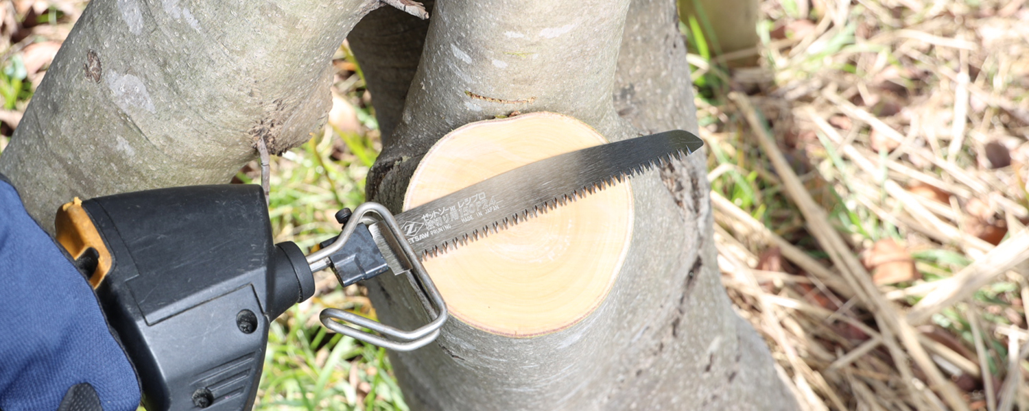 ショート刃：切り始めがスムーズ