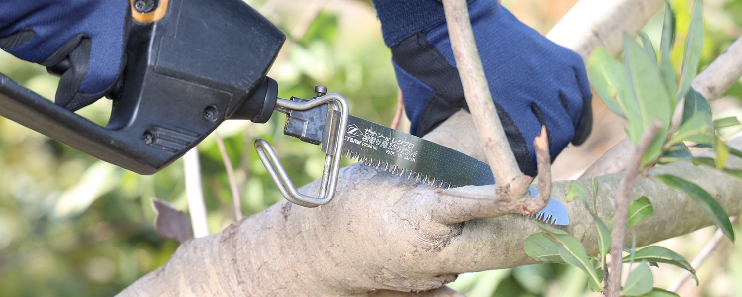 剪定後の枝切り作業に